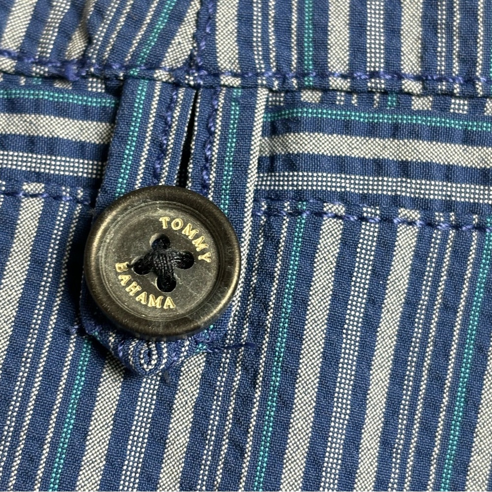 Tommy Bahama Wrinkle Resistant Nylon and Spandex Blue Striped Shorts size 35 - Picture 4 of 8